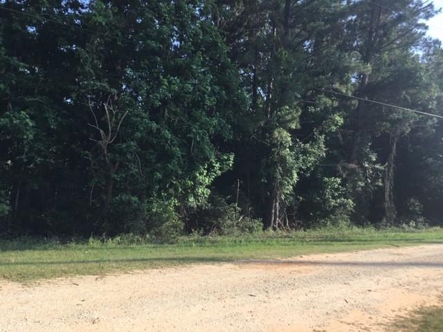 272 Artesian, Onalaska, Texas image 1