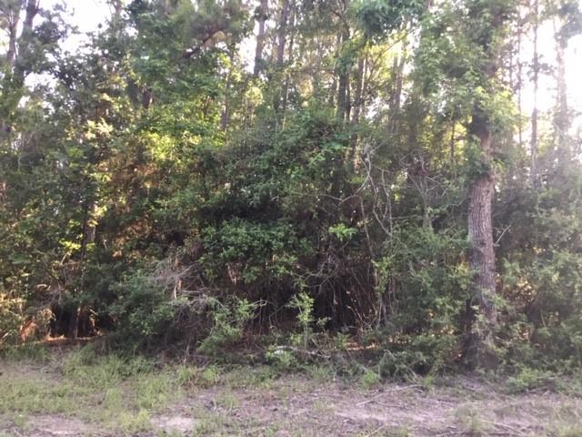 272 Artesian, Onalaska, Texas image 5