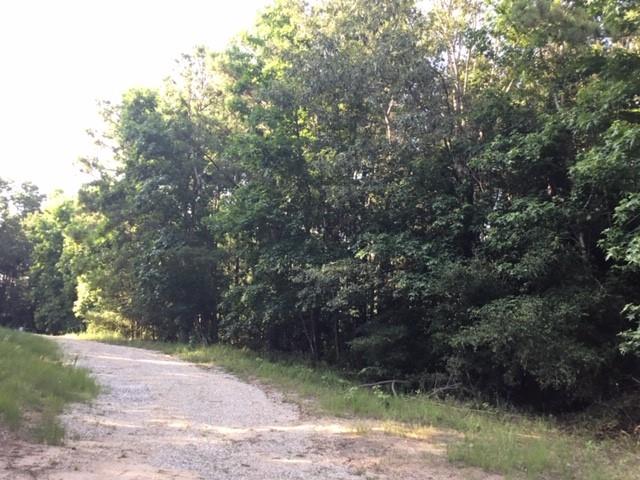 272 Artesian, Onalaska, Texas image 4
