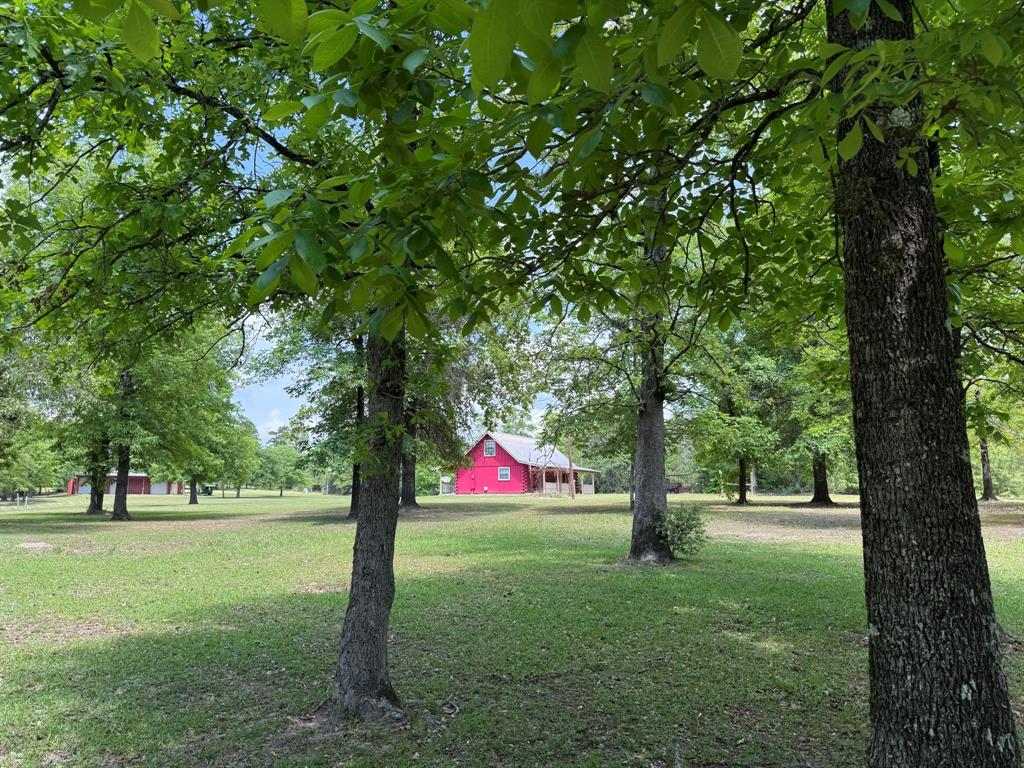 232 County Road 3255, Colmesneil, Texas image 30