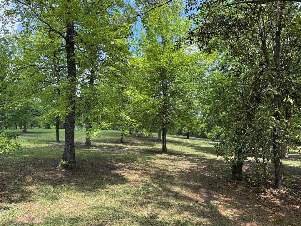 232 County Road 3255, Colmesneil, Texas image 36