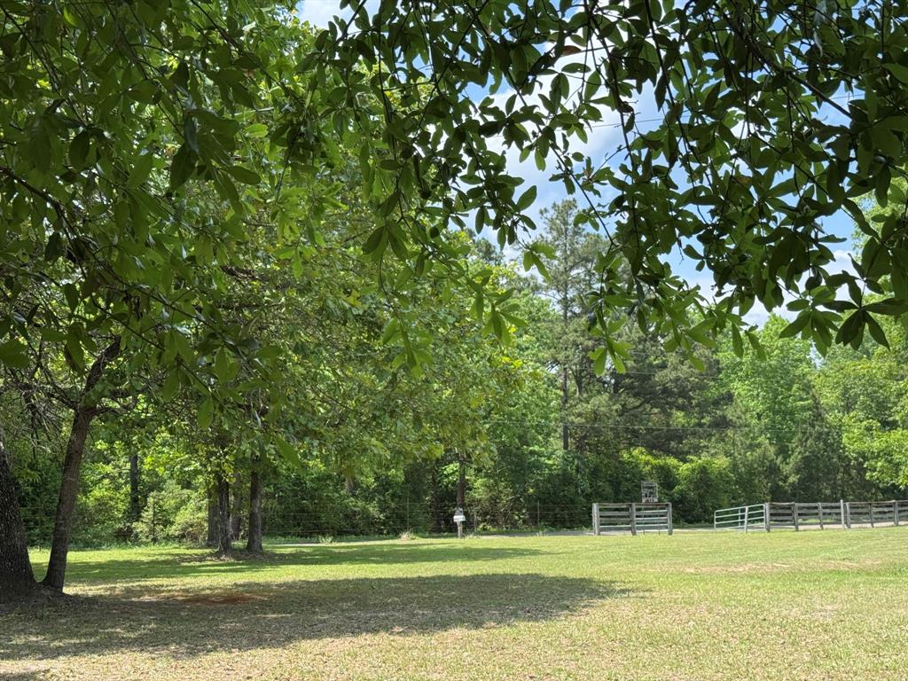 232 County Road 3255, Colmesneil, Texas image 40