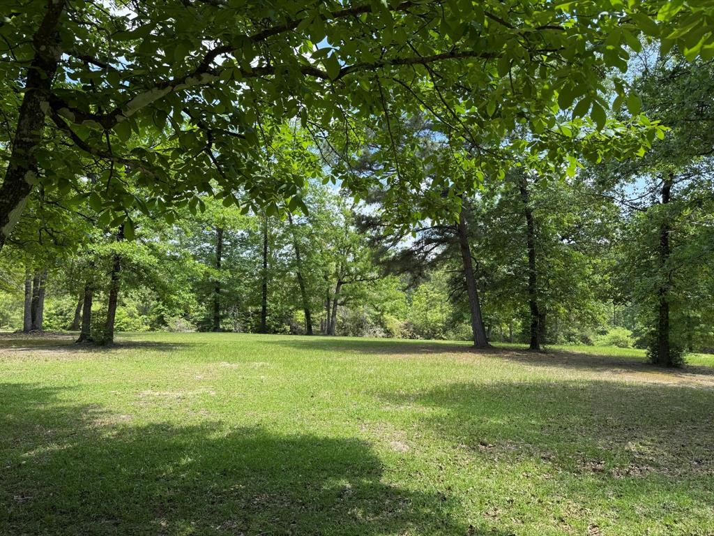 232 County Road 3255, Colmesneil, Texas image 3