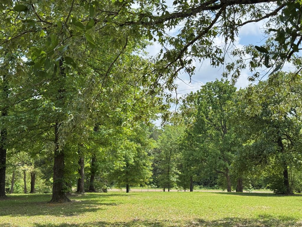 232 County Road 3255, Colmesneil, Texas image 39
