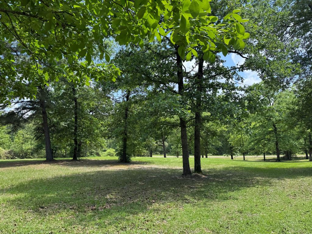 232 County Road 3255, Colmesneil, Texas image 4