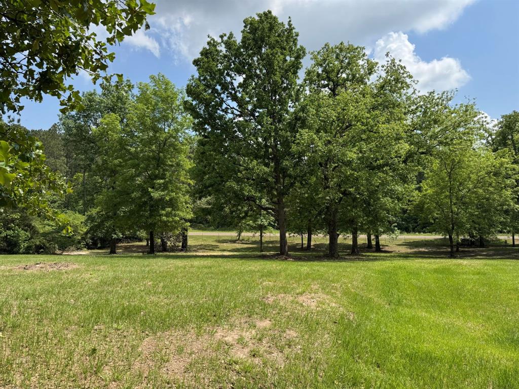 232 County Road 3255, Colmesneil, Texas image 46