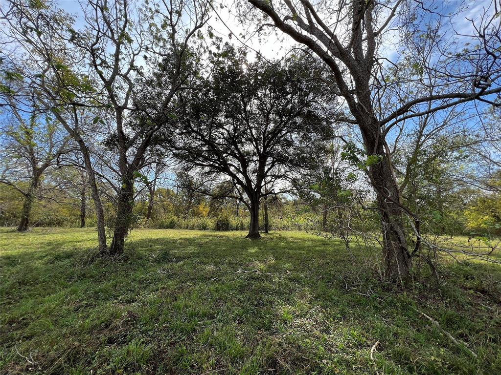 Hwy 35, Van Vleck, Texas image 19