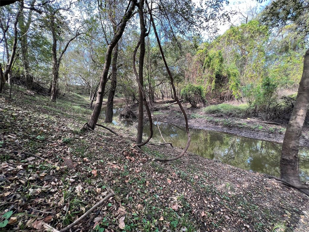 Hwy 35, Van Vleck, Texas image 11