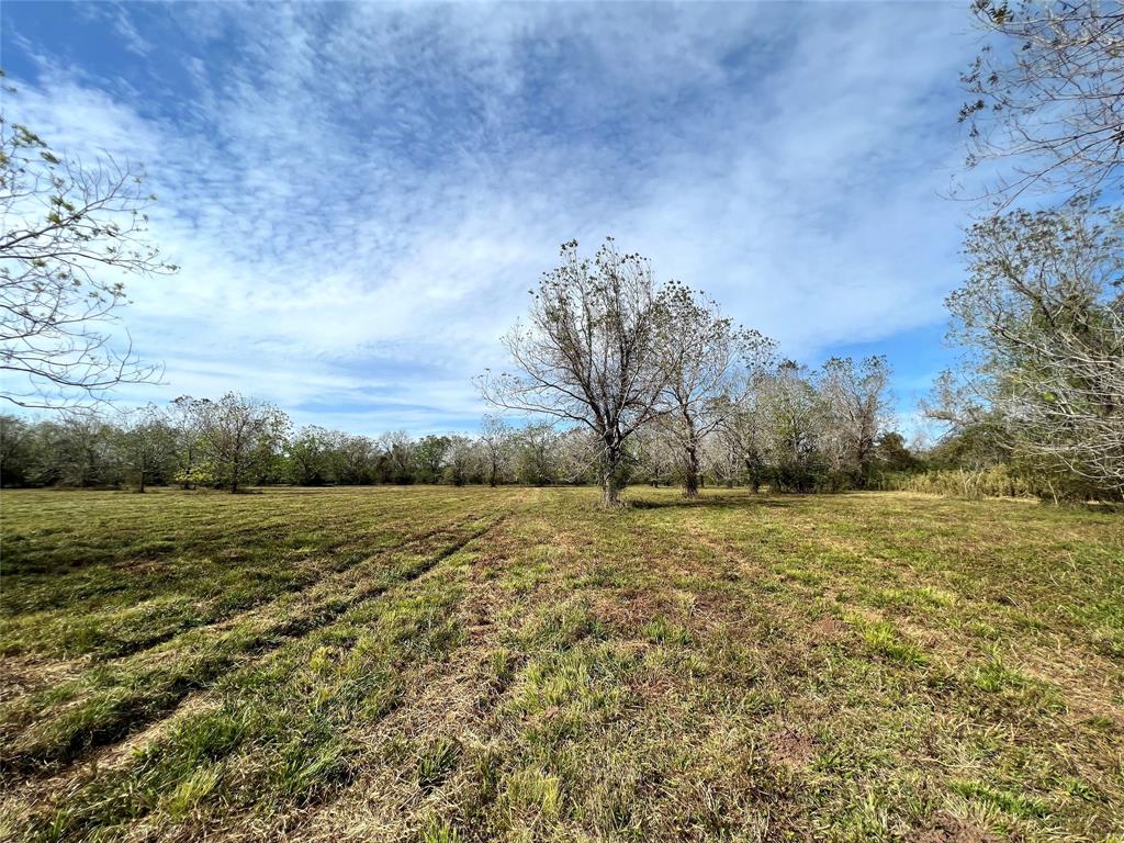 Hwy 35, Van Vleck, Texas image 21