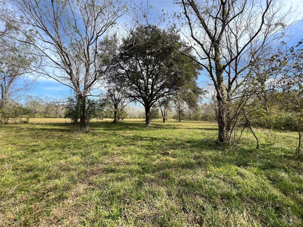 Hwy 35, Van Vleck, Texas image 25