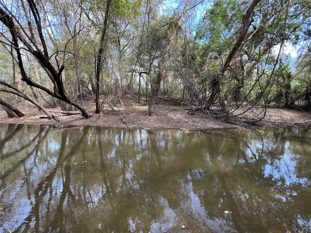 Hwy 35, Van Vleck, Texas image 12