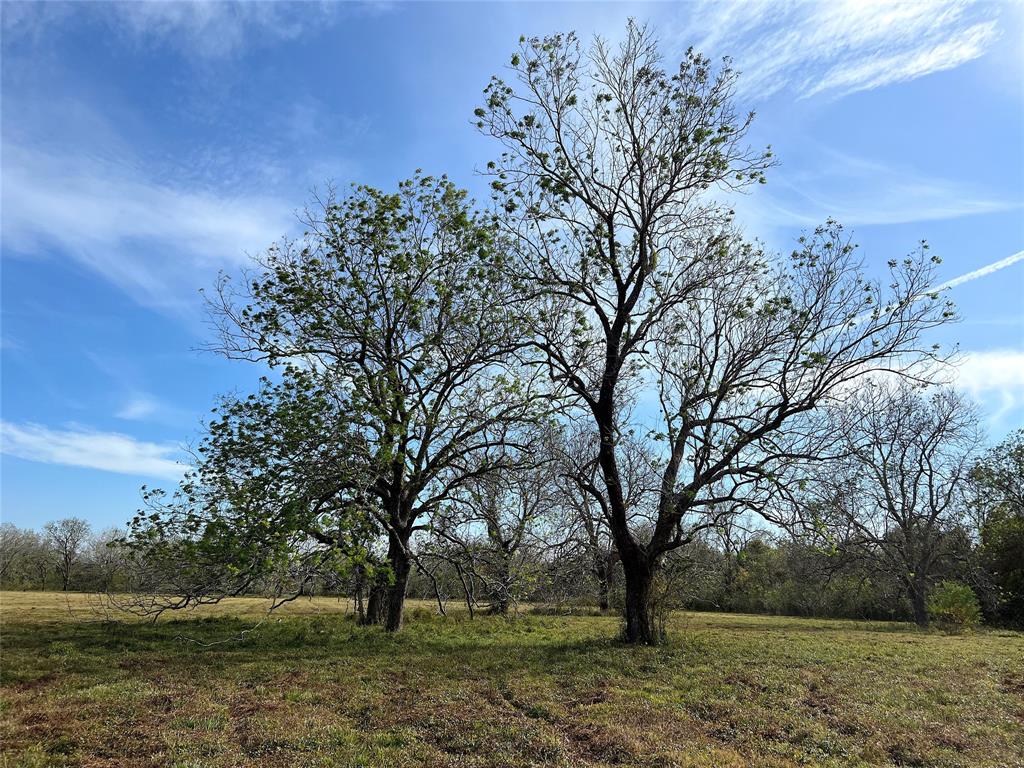 Hwy 35, Van Vleck, Texas image 20