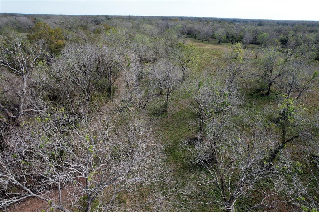 Hwy 35, Van Vleck, Texas image 18