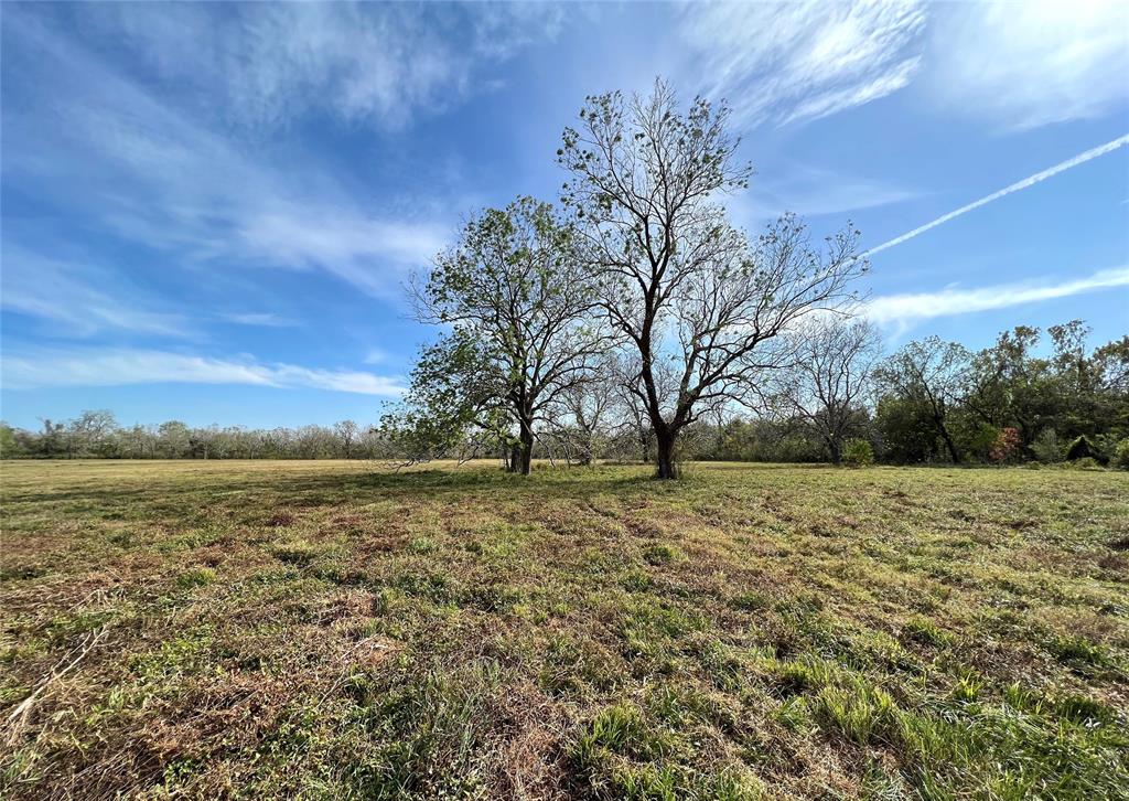 Hwy 35, Van Vleck, Texas image 24