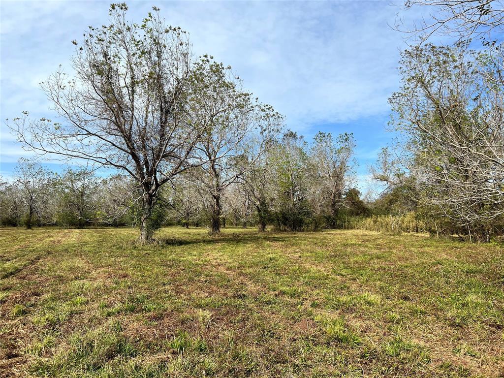 Hwy 35, Van Vleck, Texas image 23