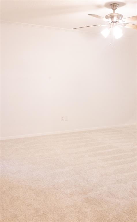 109 Meadowview Street, Crockett, Texas image 24