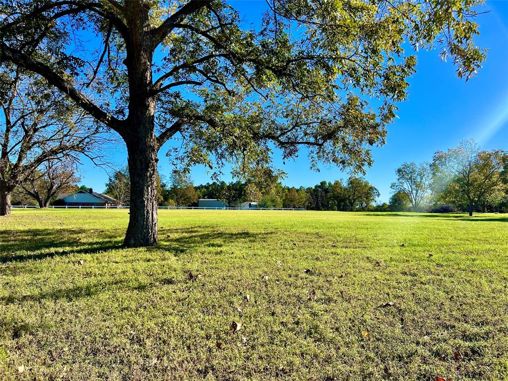 109 Meadowview Street, Crockett, Texas image 5