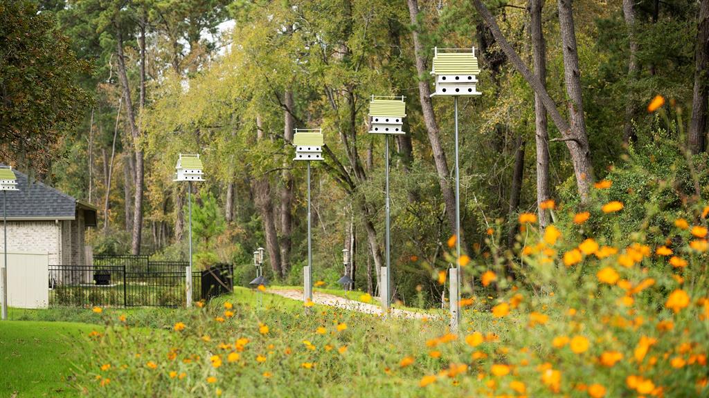 14851 Whistling Duck Lane, Magnolia, Texas image 16
