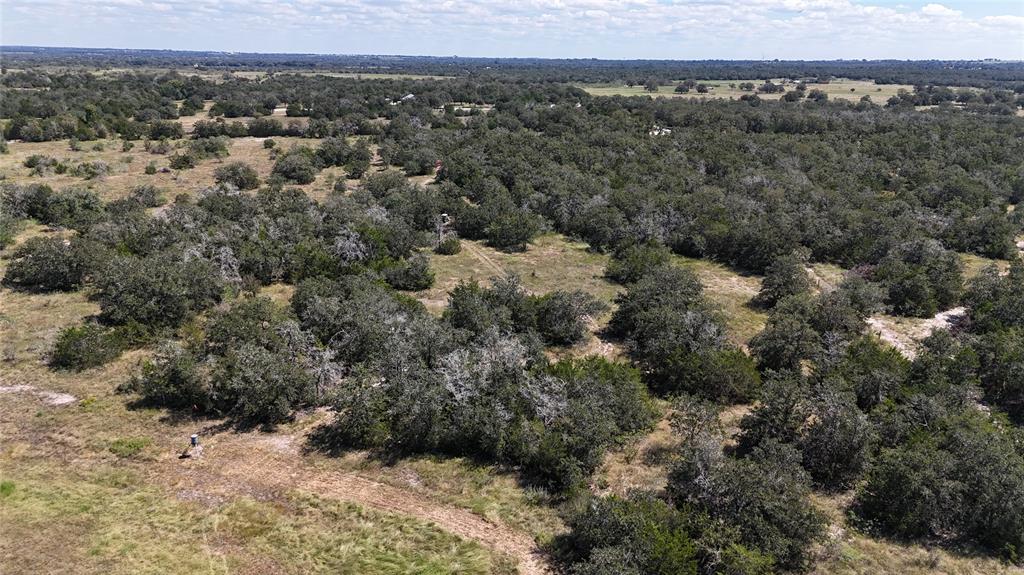 2962 County Rd 397, Moulton, Texas image 15