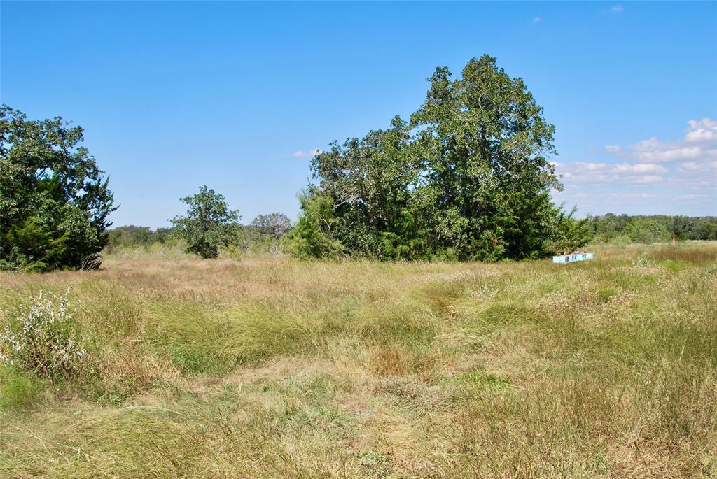 2962 County Rd 397, Moulton, Texas image 9