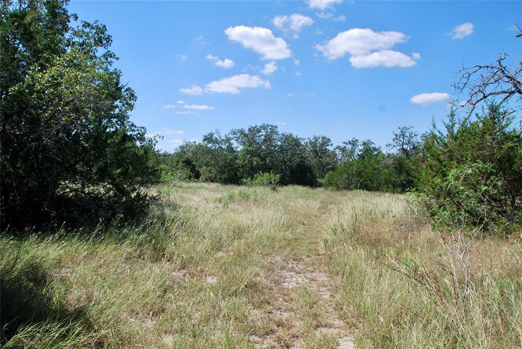 2962 County Rd 397, Moulton, Texas image 4