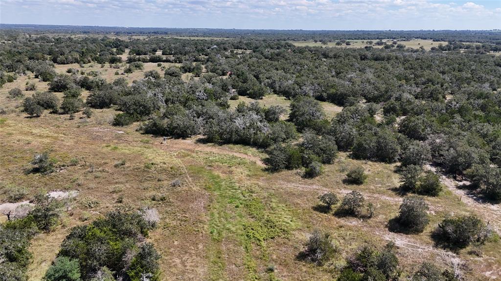 2962 County Rd 397, Moulton, Texas image 14