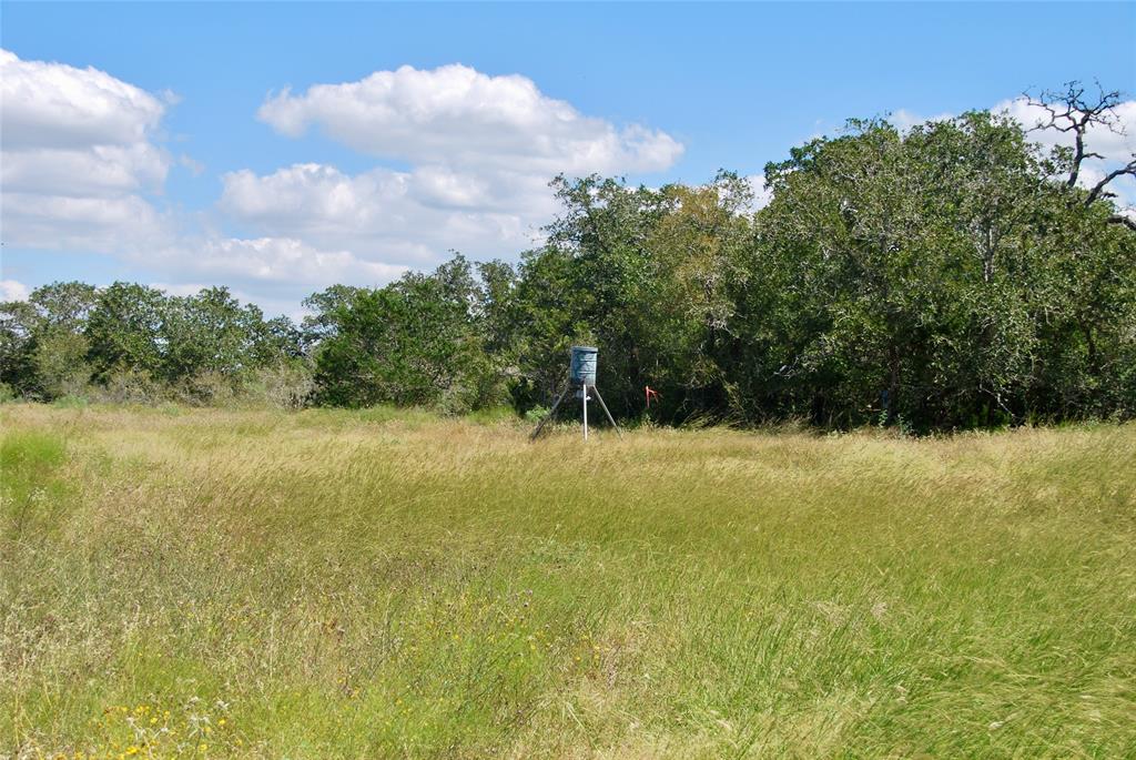 2962 County Rd 397, Moulton, Texas image 7