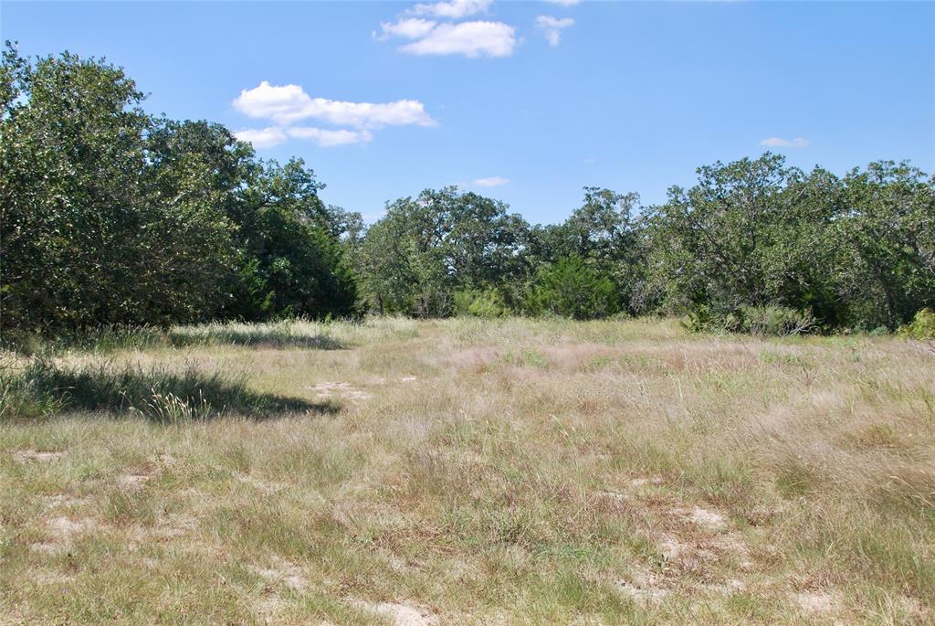 2962 County Rd 397, Moulton, Texas image 3