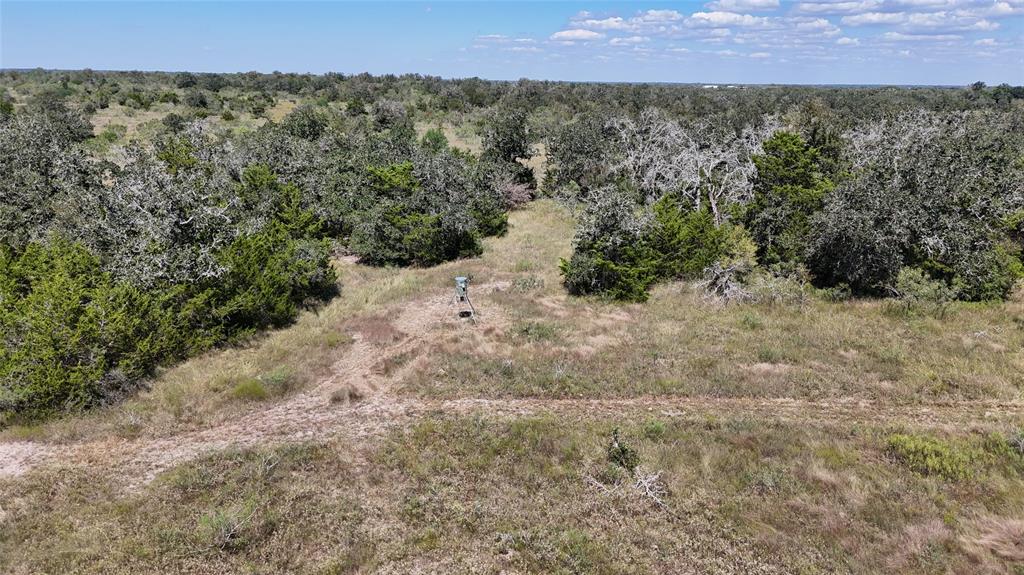 2962 County Rd 397, Moulton, Texas image 6