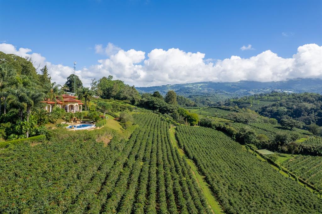 0000 San Isidro de Alajuela