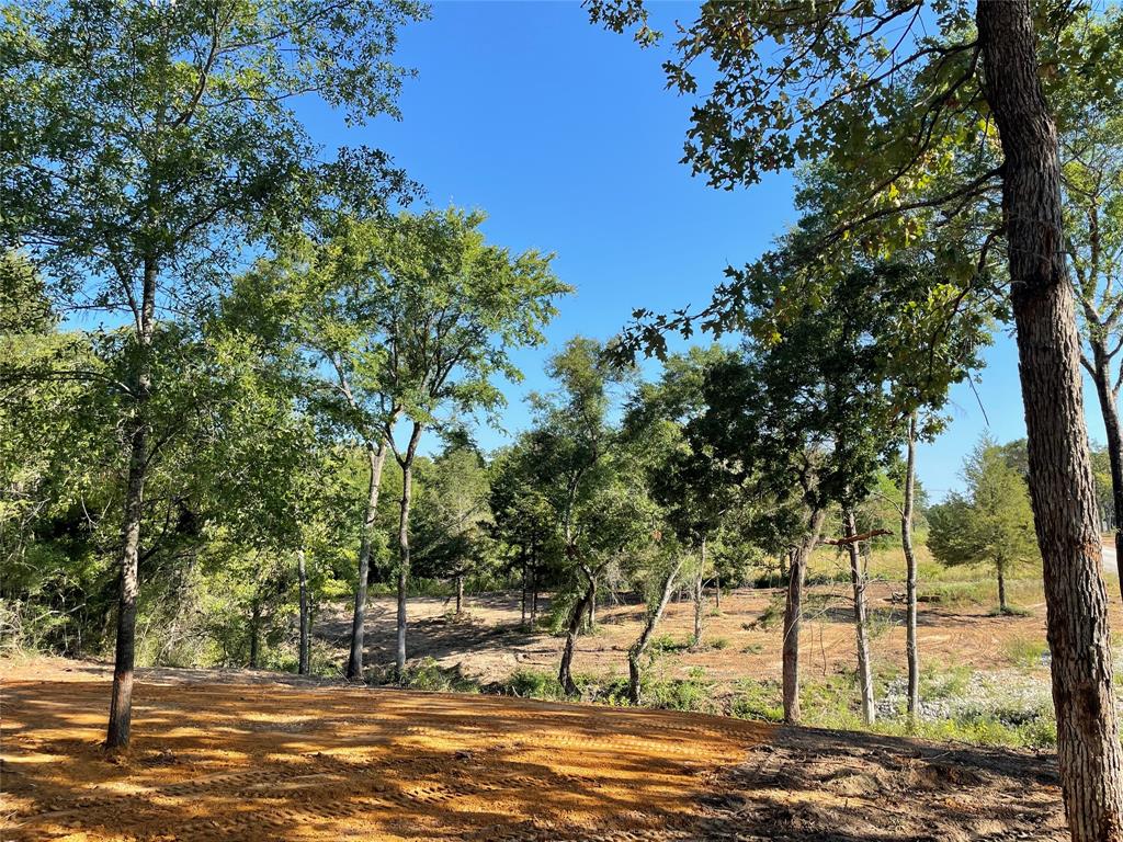 TBD Lot 27 10ac+- Timbercrest Ranch, Jewett, Texas image 16