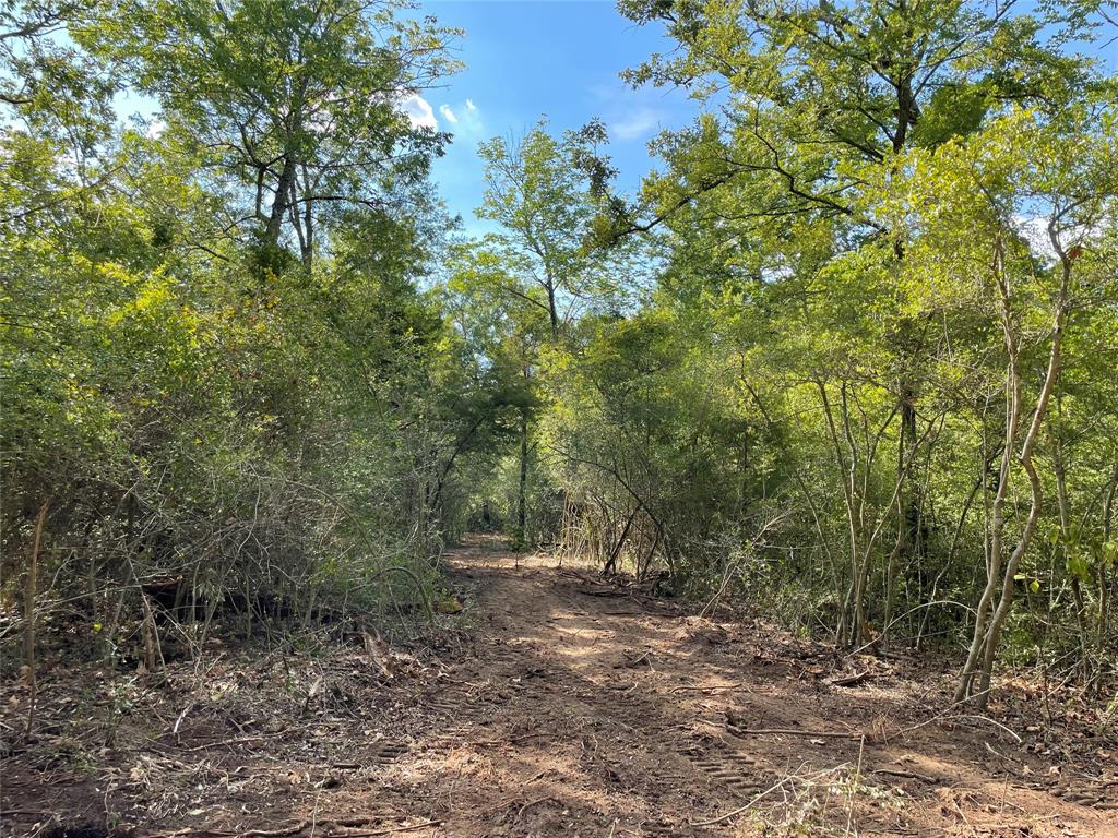 TBD Lot 27 10ac+- Timbercrest Ranch, Jewett, Texas image 21