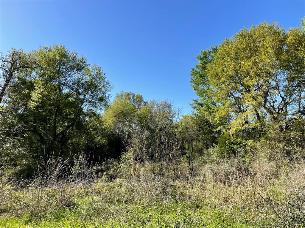 TBD Lot 27 10ac+- Timbercrest Ranch, Jewett, Texas image 24