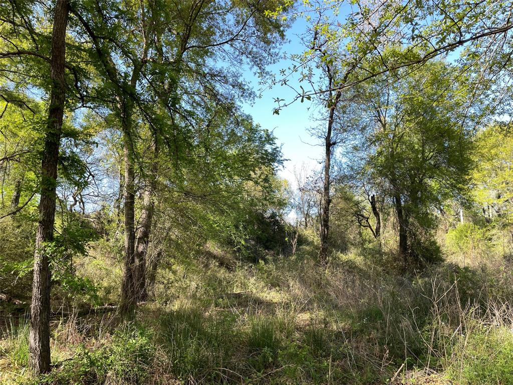 TBD Lot 27 10ac+- Timbercrest Ranch, Jewett, Texas image 32