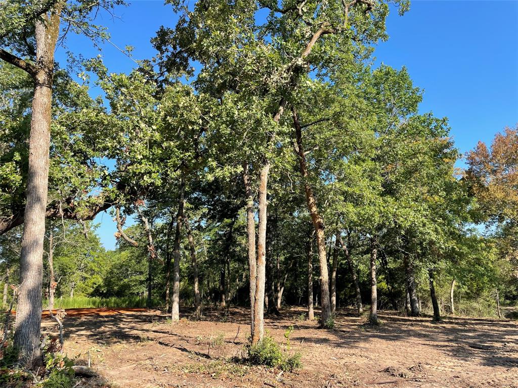 TBD Lot 27 10ac+- Timbercrest Ranch, Jewett, Texas image 10