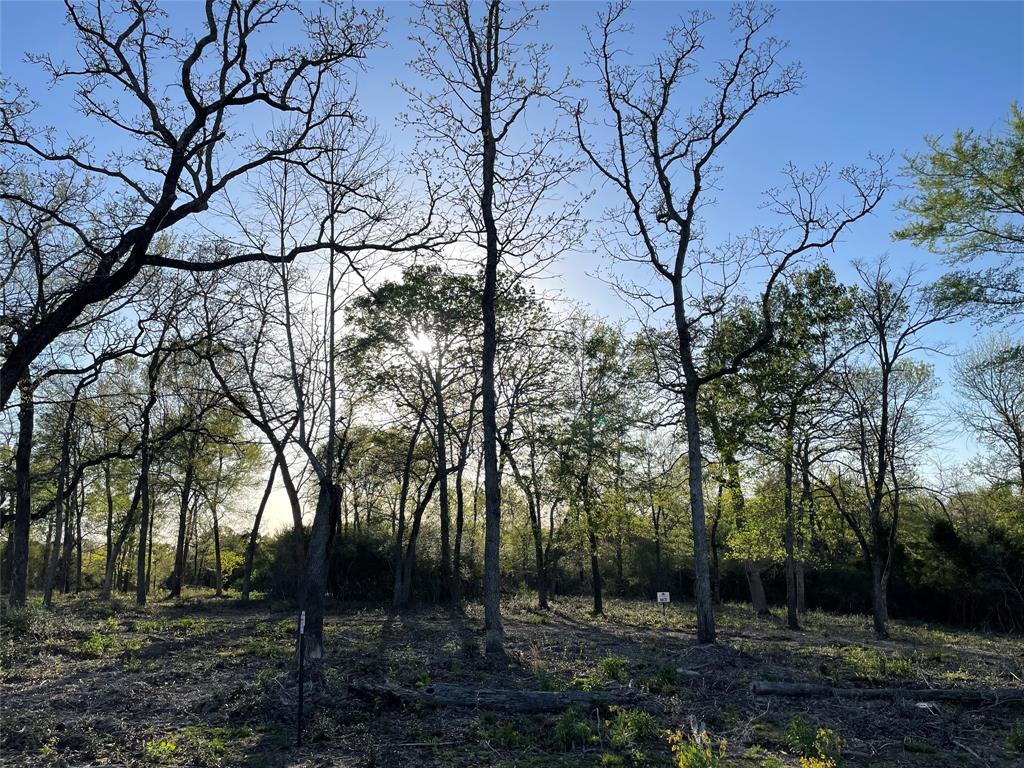 TBD Lot 27 10ac+- Timbercrest Ranch, Jewett, Texas image 45