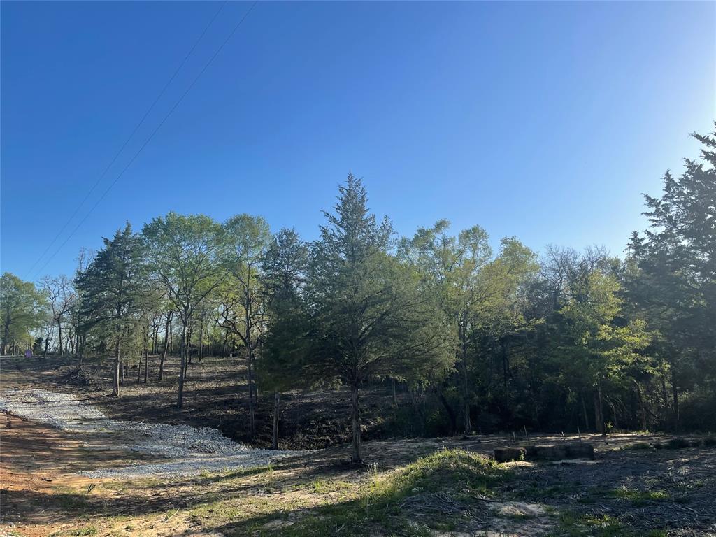 TBD Lot 27 10ac+- Timbercrest Ranch, Jewett, Texas image 43