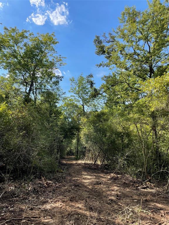 TBD Lot 27 10ac+- Timbercrest Ranch, Jewett, Texas image 18