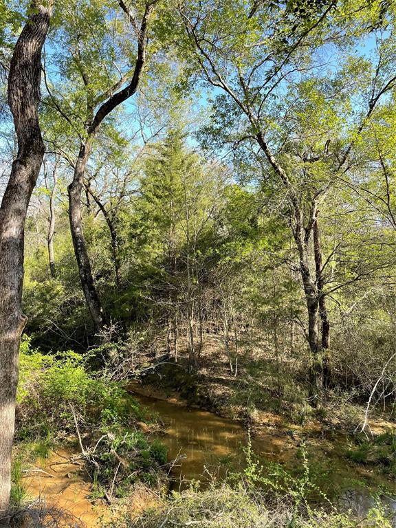 TBD Lot 27 10ac+- Timbercrest Ranch, Jewett, Texas image 39