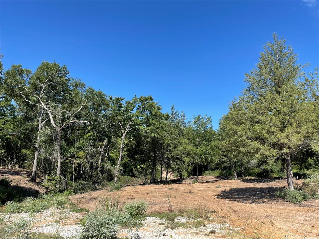 TBD Lot 27 10ac+- Timbercrest Ranch, Jewett, Texas image 11