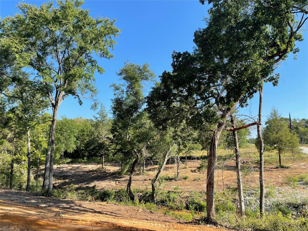 TBD Lot 27 10ac+- Timbercrest Ranch, Jewett, Texas image 9