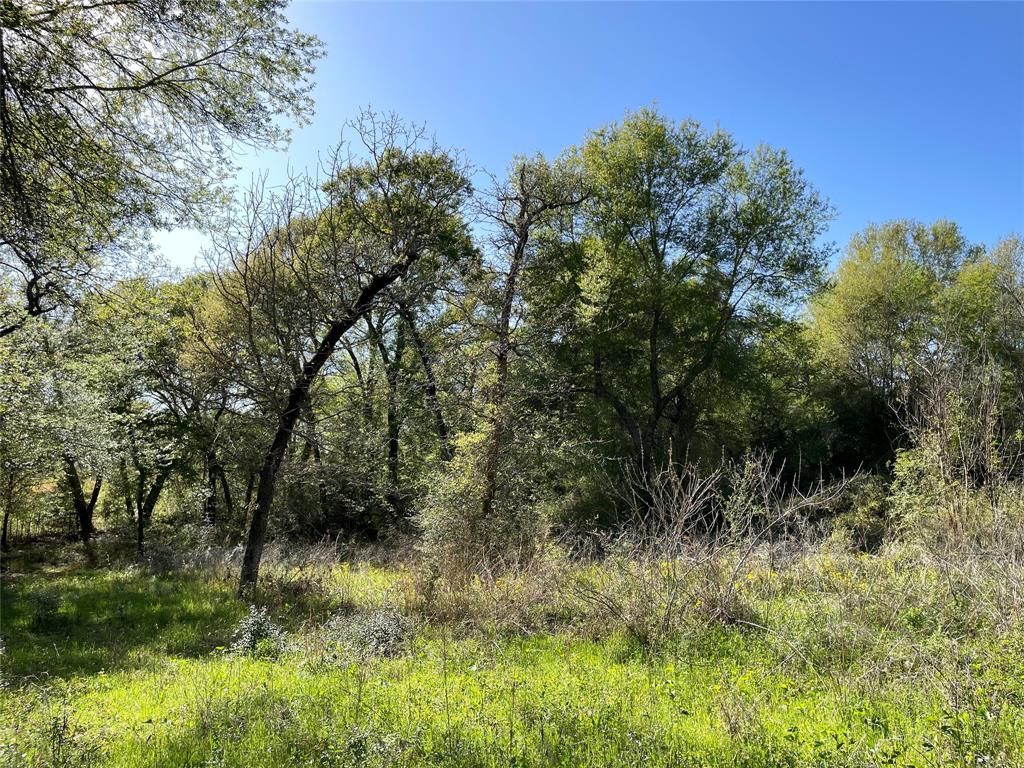 TBD Lot 27 10ac+- Timbercrest Ranch, Jewett, Texas image 23