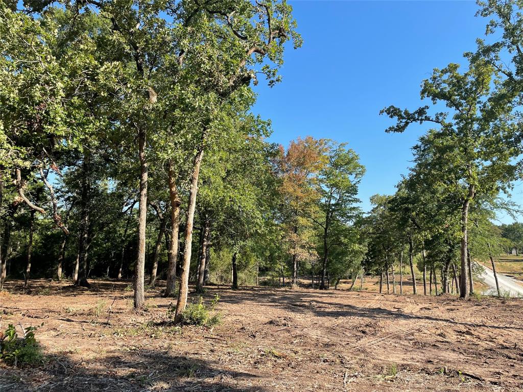 TBD Lot 27 10ac+- Timbercrest Ranch, Jewett, Texas image 47