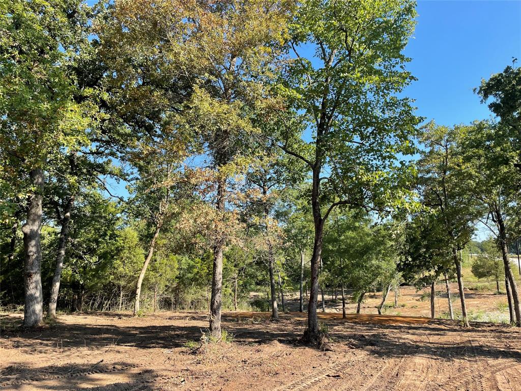 TBD Lot 27 10ac+- Timbercrest Ranch, Jewett, Texas image 2