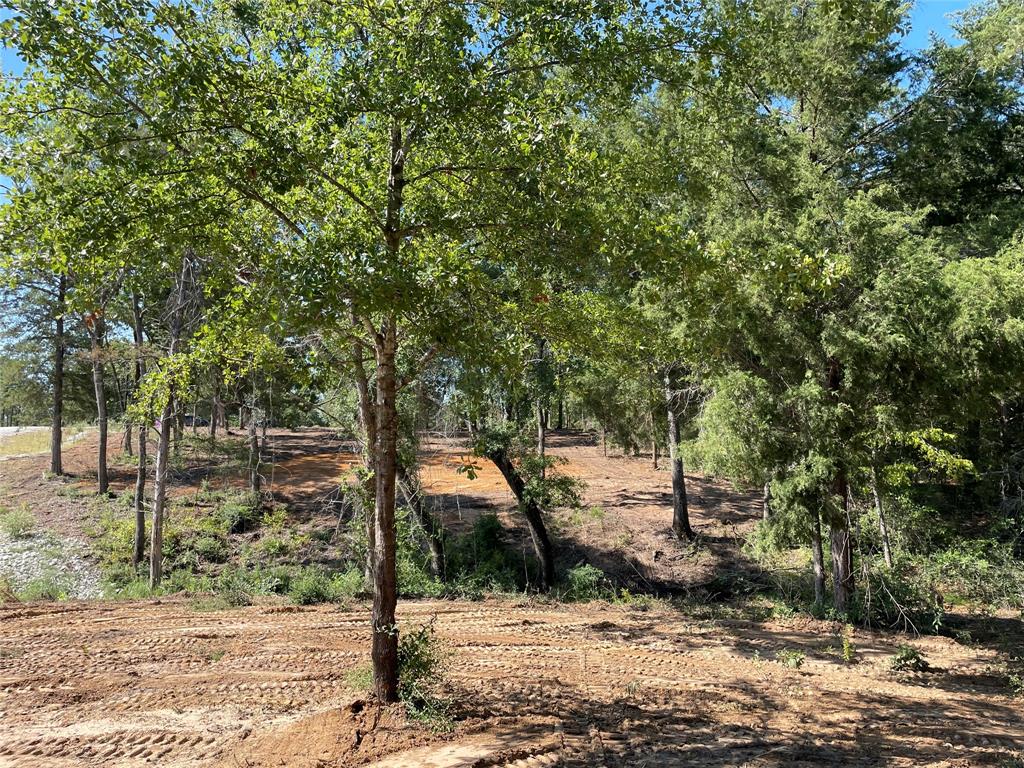 TBD Lot 27 10ac+- Timbercrest Ranch, Jewett, Texas image 14