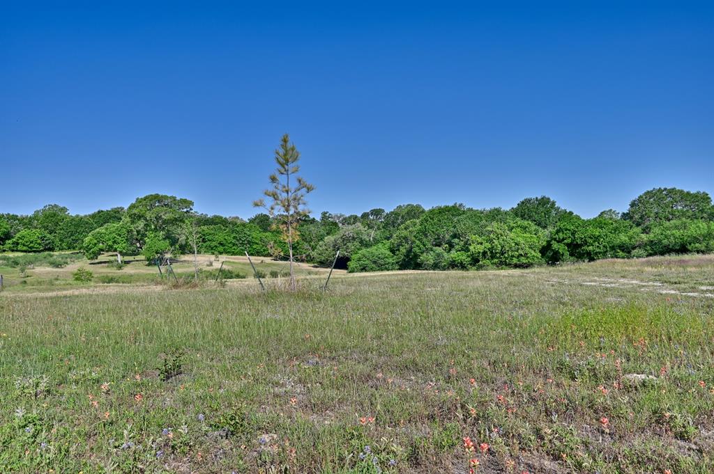 2917 Twisted Oak Drive, Brenham, Texas image 7