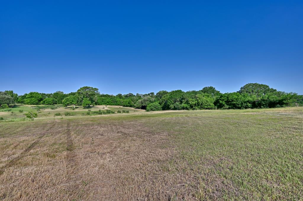 2917 Twisted Oak Drive, Brenham, Texas image 3