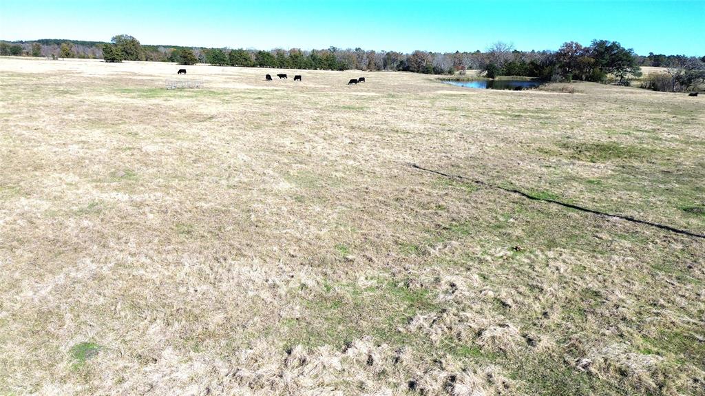 TBD Sh 19 South / Cr 4035, Crockett, Texas image 9