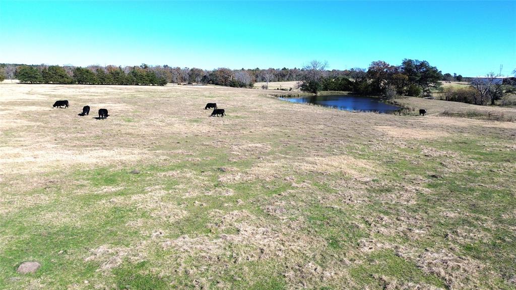 TBD Sh 19 South / Cr 4035, Crockett, Texas image 10