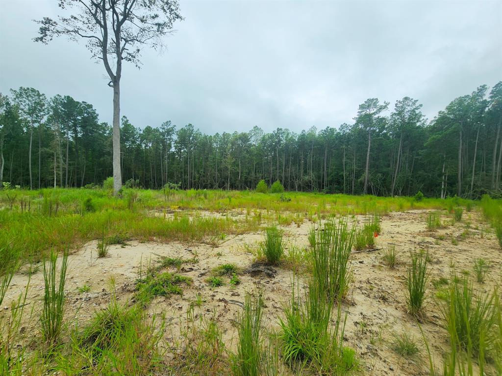 139 Rayburn Reserve Drive, Jasper, Texas image 4